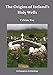 The Origins of Ireland’s Holy Wells