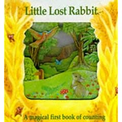 Little Lost Rabbit (Magic Windows: Pull the Tabs! Change the Pictures!)