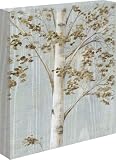 Birch Study II by Daphne Brissonnet - Gallery Wrapped Giclee Canvas Art