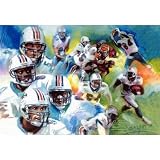 Miami Dolphins (Group) Sports Poster Print - 13x19