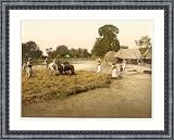 Threshing grain Bosnia Austro-Hungary, c. 1890s, FRMD L-BA