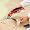 Black & Decker SZ360 3.6-Volt Ni-Cad Cordless Power Scissors