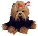 Ty Yapper - Dog