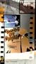 Rounds of Rhythm [VHS]