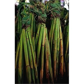 photographie Bundled vegetables for sale at Suva's Municipal Market. est disperible en (L x H): 7...