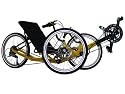 TerraTrike Zoomer Elite Recumbent Trike