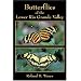 Butterflies of the Lower Rio Grande