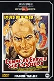Comme un cheveu sur la soupe