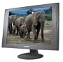 Sony SDM-S51/B 15" LCD Monitor (Black)