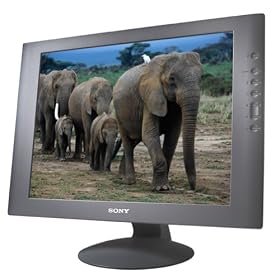 Sony SDM-S51/B 15" LCD Monitor (Black)