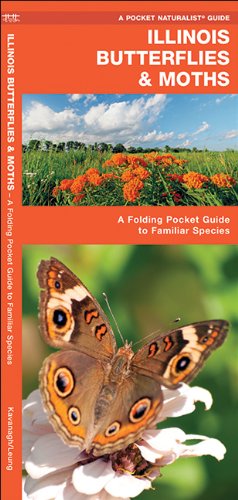 illinois butterflies  moths a folding pocket guide to familiar species pocket naturalist guide series