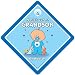 World's Cutest Grandson On Board, Car Sign, Baby On Board Sign, baby on board, Novelty Car Sign