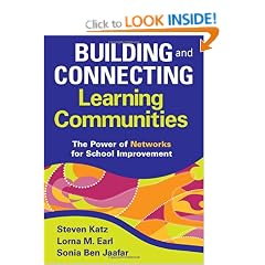 Building and Connecting Learning Communities: The Power of Networks for School Improvement