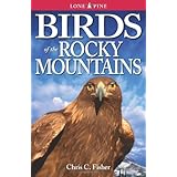 birds of the rocky mountains