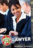 What's it like to be a lawyer?