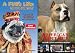 Pug's Life / American Pit Bull [DVD] [Import]