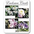 Sharon Freeman - Set of Four Gift Enclosure Cards and Vellum Envelopes