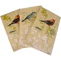 Novelty Print Buffet Paper Napkins or Disposable Guest Towels, 15 Per Pack, Spring Songbirds bird