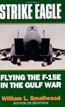 Strike Eagle: Flying the F-15E in the...