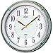 【Amazonの商品情報へ】SEIKO CLOCK (セイコークロック) 掛け時計 電波時計 ツイン・パ 全面点灯 KS262M