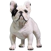 フレンチ ブルドッグ ブラック/ホワイト 1/6 フィギュア FB003