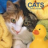Cats 2008 Midi Wall Calendar