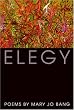 Elegy