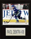 NHL Pavol Demitra Vancouver Canucks Player Plaque