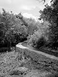 Mission San Francisco De La Espada. View of the Aqueduct, or Espada Acequia. San Antonio, Texas Photographic Poster Print, 9x12