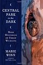 Central Park in the Dark