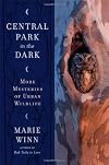 Central Park in the Dark