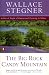 The Big Rock Candy Mountain (Contemporary American Fiction)