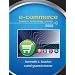 E-Commerce: Business,Technology, Society (4th Edition)