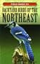 Cool Springs Press Field Guide To Backyard Birds Of The Northeast