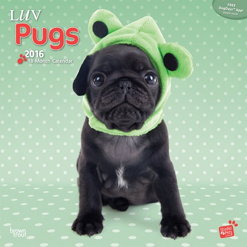 By Myrna - Luv Pugs 2016 Square 12x12 (Multilingual Edition)