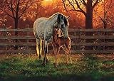 Mare & Foal - Medium