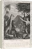 ADAM and EVE NAME ANIMALS - 16 Inch Canvas Print (40cm) by Mary Evans