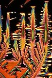Pyrogallic Acid Crystals Are Toxic Crystalline Phenol Used as a Photographic Developer and to Treat Certain Skin Diseases - 18