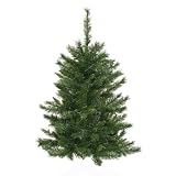 3? Imperial Pine Wall Tree 166t