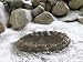 Outdoor Living : Farm Innovators Four Seasons Ground Heated Bird Bath