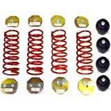 1995-2002 Land Rover Discovery (4.0 SE, 4.6 HSE) Air Suspension Conversion Kit with 2... by Strutmasters