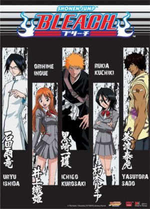 Childrens Toyshop  Toys : Bleach: Character Highlight Wall Scroll