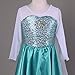 Pettigirl Little Girls' Snowflakes Cosplay Dress with Necklace and Bracelet Decoration 5Y Light Green