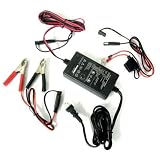 ACI SuperCharger Automotive Battery Super Charger - Model 1202CC