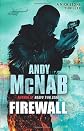 Firewall (Nick Stone 03)
