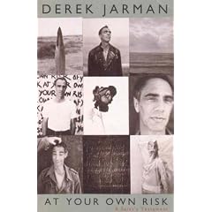 At Your Own Risk: A Saint's Testament