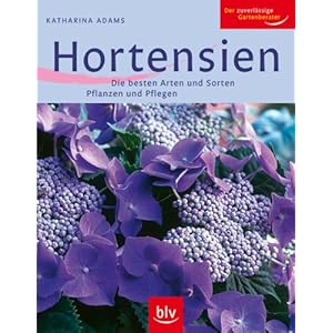 Hortensien: Die besten Arten und Sorten Pflanzen und Pflegen