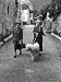 Alice B. Toklas and Author Gertrude Stein, Walking Poodle 