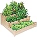 Greenes Fence RC4T3 Tiered Cedar Raised Garden Bed, Wood