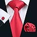 Hi-Tie Classic Necktie Set Solid Color Silk Ties for Men